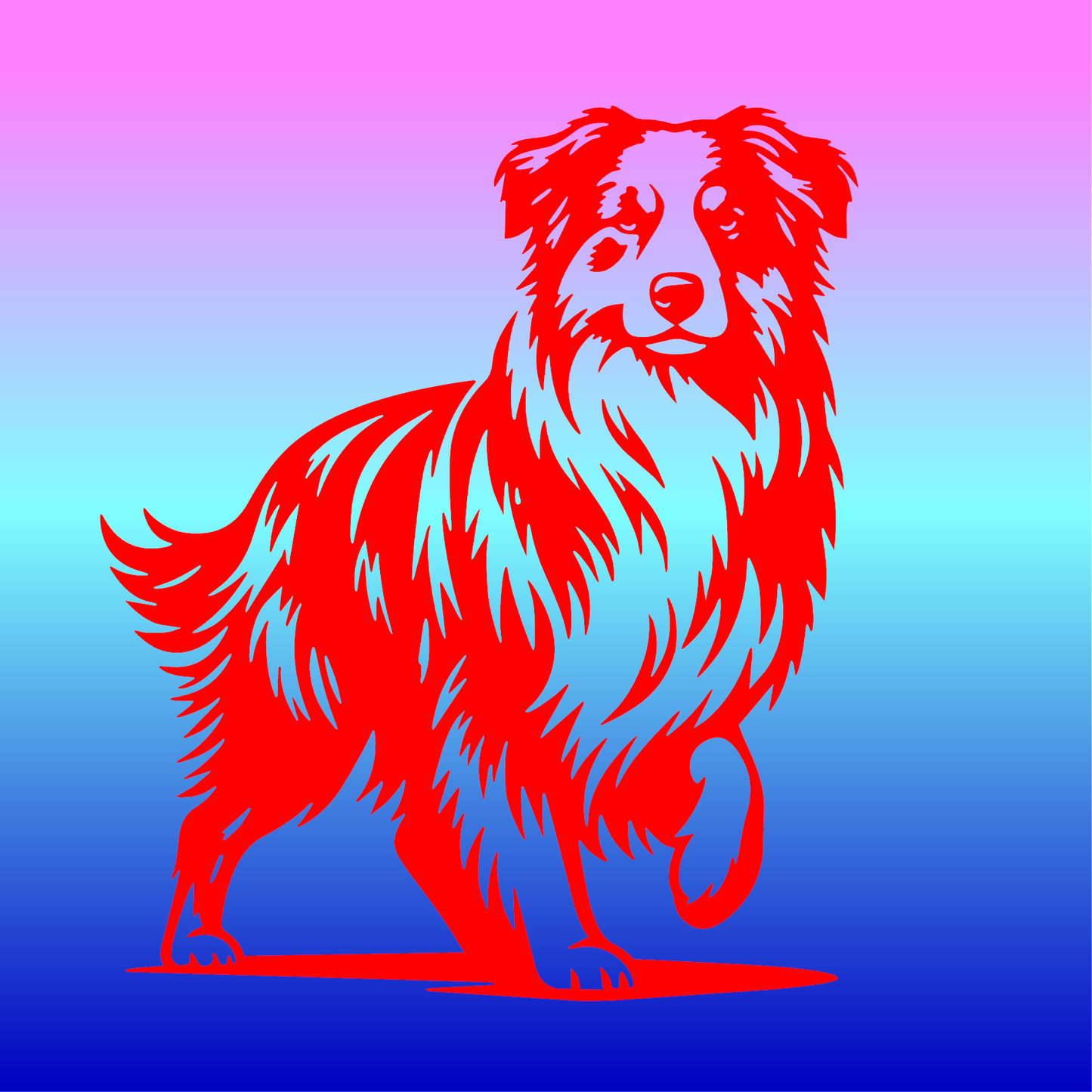 Sticker, Berger des Shetland 🐾✨