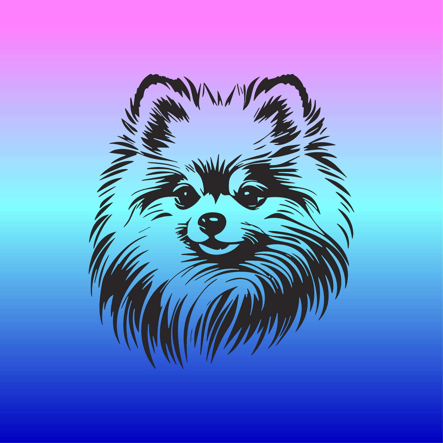 Sticker, Spitz Nain 🐾✨