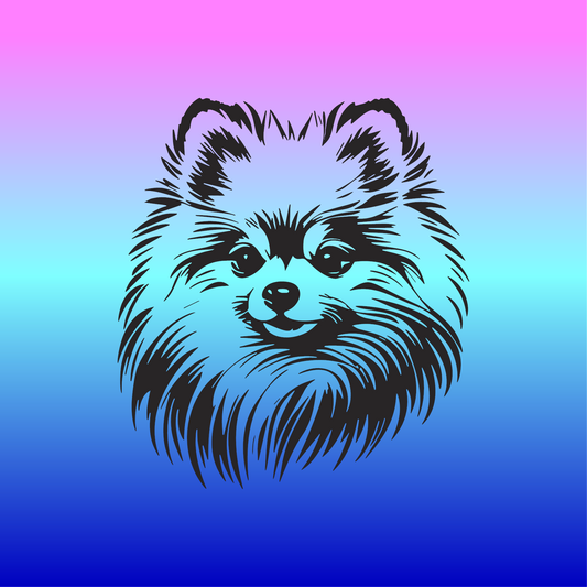 Sticker, Spitz Nain 🐾✨