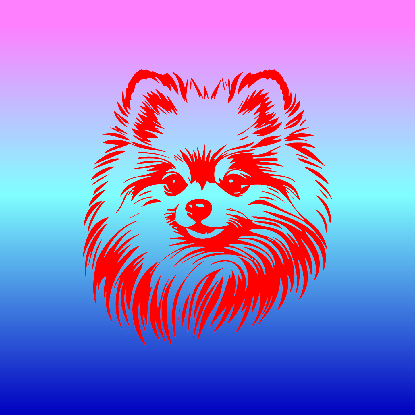 Sticker, Spitz Nain 🐾✨