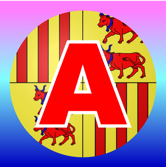 Disque adhésif de jeune conducteur (Béarn)
